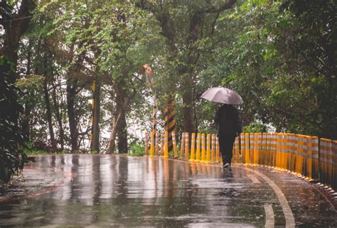 下雨天的圖片